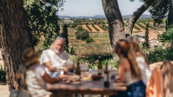 Valencia: Utiel-Requena Cave & Winery Day Trip with Tasting