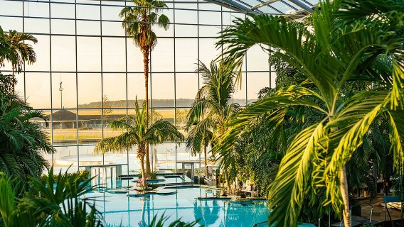 Therme Bucharest: Entry Ticket and Round-Trip Transfer