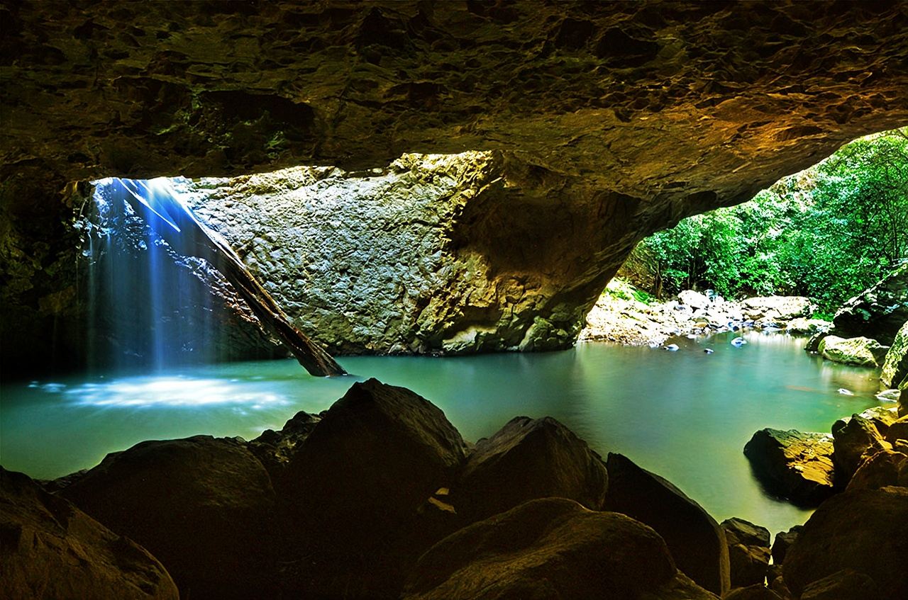 Brisbane Tamborine Mountain + Springbrook National Park 1-day tour: Explore glow worm caves + tropical rainforest