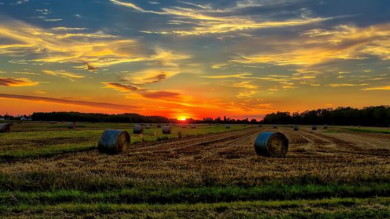 Romantic Chianti at Sunset - Small Group Excursion from Florence with Wine Tastings