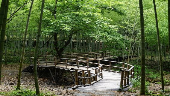 寧波日遊