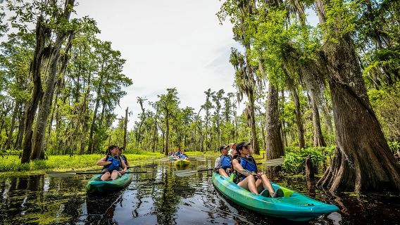 Tour in kayak nella palude di Manchac per piccoli gruppi con guida locale