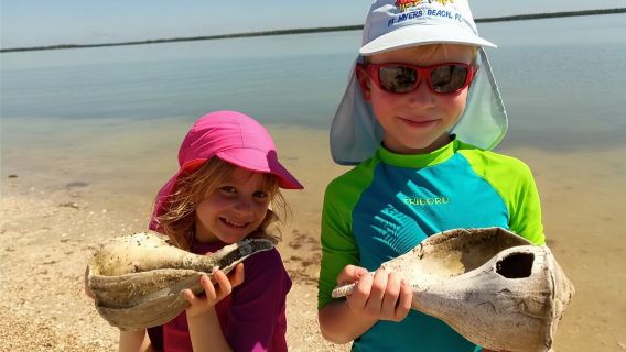 2 Hour Dolphin, Birding and Shelling Tour