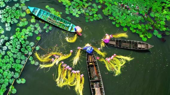 Ho Chi Minh CityTours