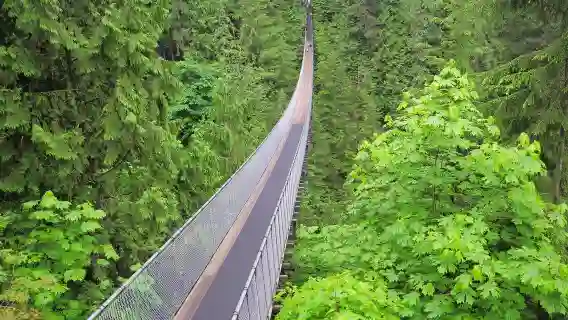 卡皮拉諾吊橋公園＋史丹利公園＋伊麗莎白女王公園＋煤氣鎮一日遊