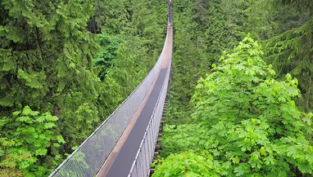 Capilano Suspension Bridge Park + Stanley Park + Lions Gate Bridge + Granville Island, Vancouver, Canada