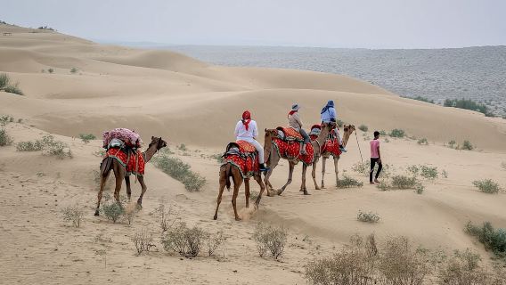 Safari de medio día en camello al atardecer en Jaisalmer
