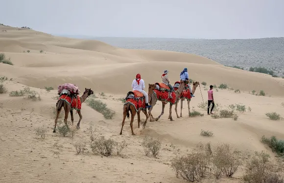 傑伊瑟爾梅爾半日駱駝日落之旅