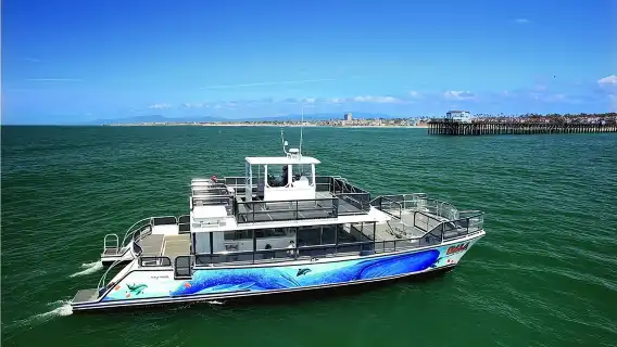 Two-Hour Luxury Whale Watching Tour from Oceanside