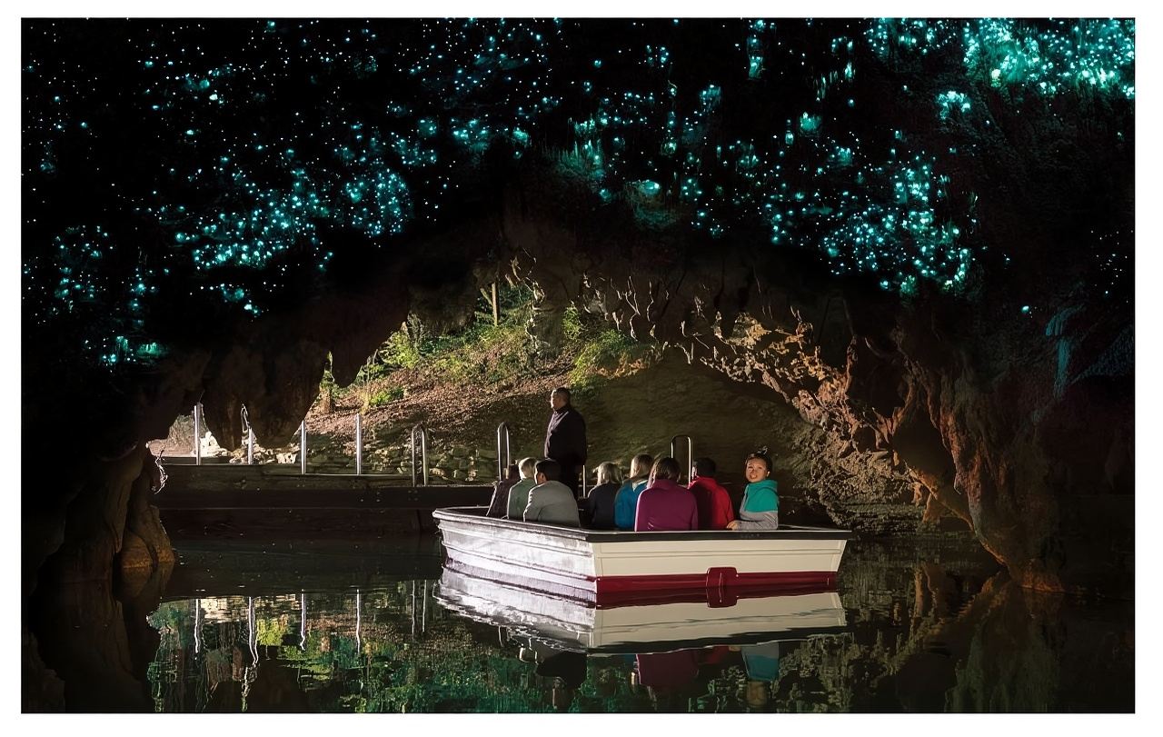 紐西蘭奧克蘭霍比特村+懷託摩螢火蟲洞一日遊