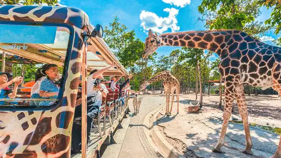 清邁素貼山+雙龍寺+清邁大學一日遊 清邁夜景/泰式火鍋可選