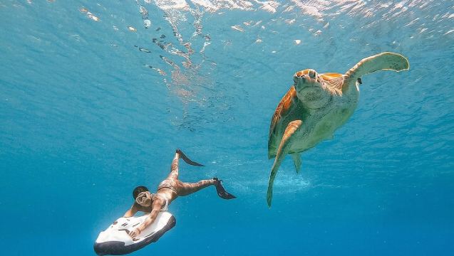 Seabob-Verleih in Guadeloupe