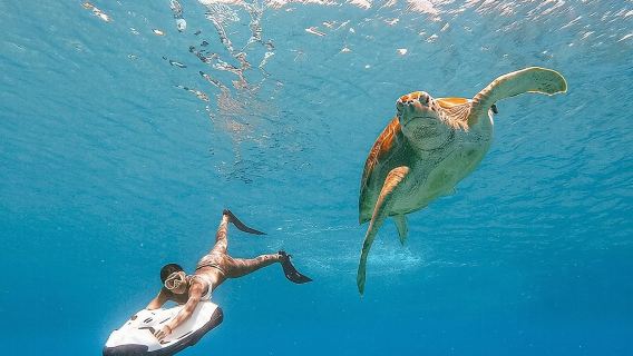 Seabob Rental in Guadeloupe
