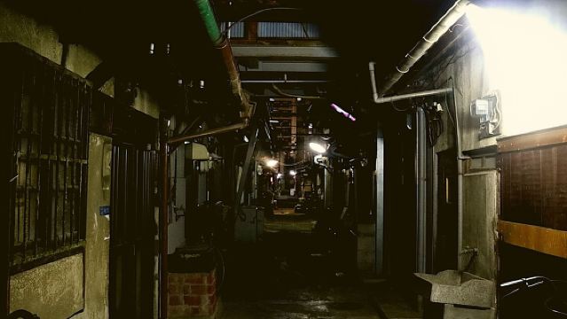 Tours por los callejones ocultos de Osaka (Opción de añadir cena)