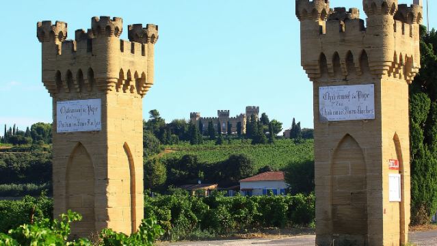 Half Day Great Vineyard Tour from Avignon