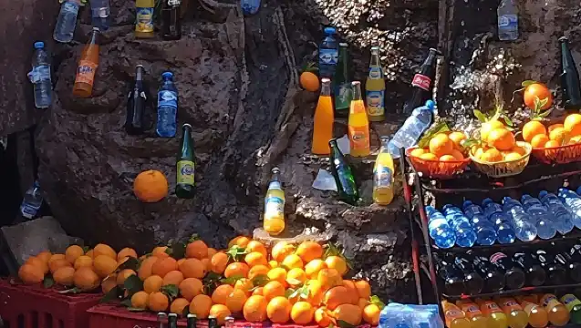 ทัวร์ครึ่งวันจากเมืองมาร์ราเกชไปยังเทือกเขาแอตลาสและหุบเขาอูริกา