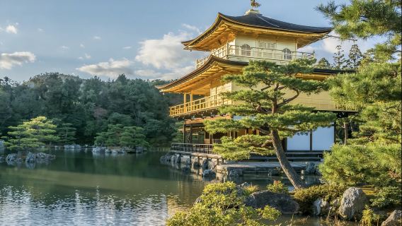 日本大阪-奈良若草山-奈良公園-東大寺【普通話專車-舒適純淨】