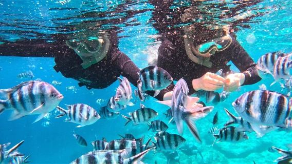 沖縄青の洞窟シュノーケリング｜《岸から入水》船酔いなし・6歳から参加可・泳げなくても参加可能