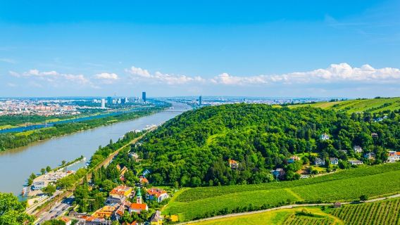 維也納海洋之家+黑死病紀念柱+佛洛伊德博物館+多瑙島一日遊