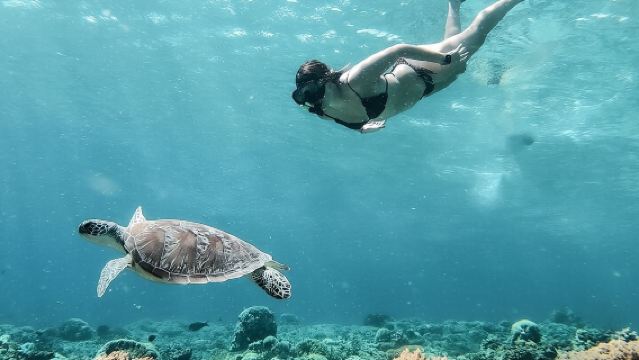 Private Snorkeling Gili Island Including GoPro Camera