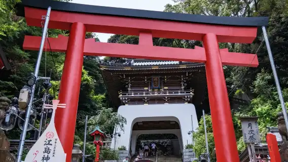 鎌倉高校、鎌倉大仏、江ノ電、鶴岡八幡宮をワンデーツアー