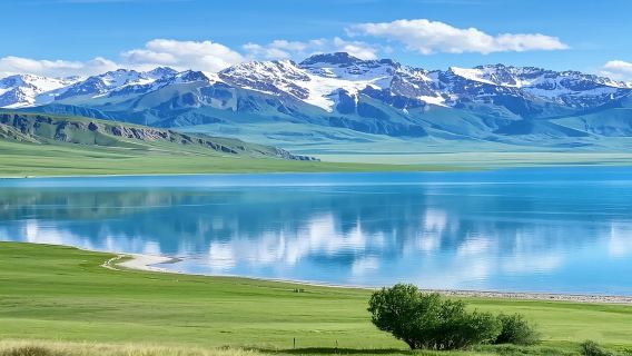 新疆旅遊賽里木湖拼車一日遊(伊寧起止）