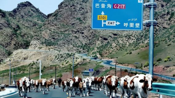 新疆101省道+百里丹霞觀景台一日遊【精品包車遊】