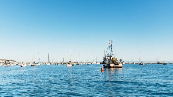 Monterey Bay: Whale Watching Tour