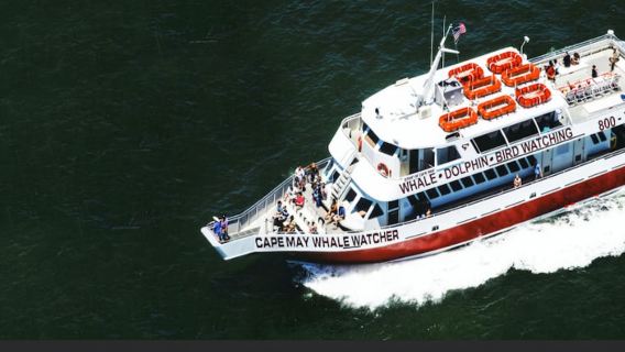 Cape May: Sunset Dinner Cruise on the Spirit of Cape May