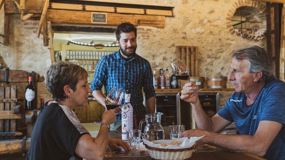 จากเวโรนา: ทัวร์โรงกลั่นไวน์ Valpolicella กับ Amarone Vintages