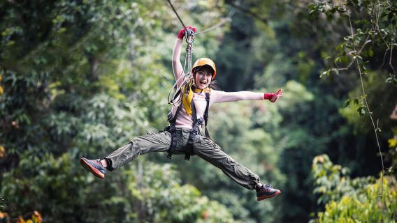 Cairns: Daintree Rainforest Canopy Ziplining Tour