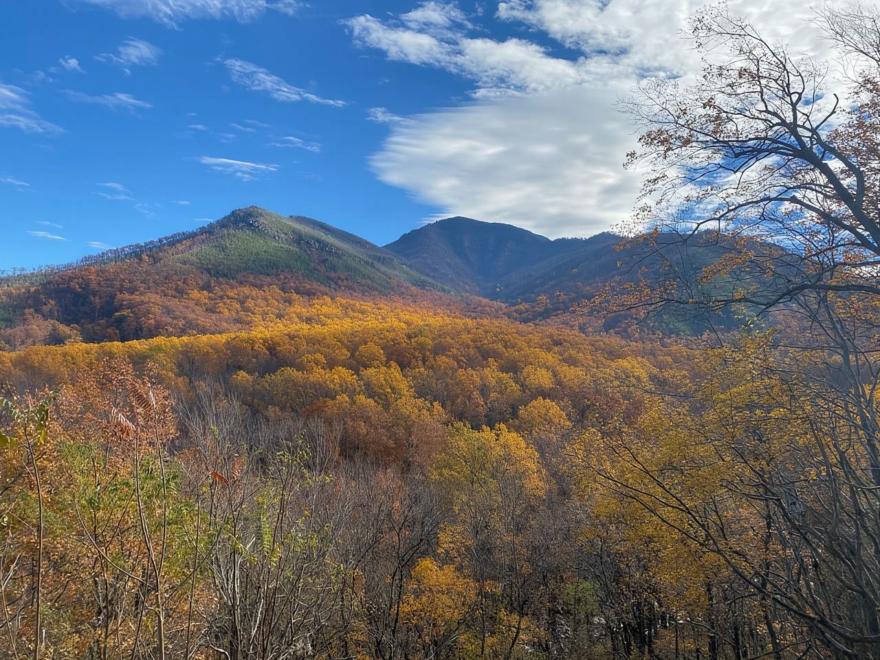 Gatlinburg: Great Smoky Mountains National Park Classic Tour