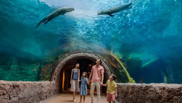 Singapore: River Wonders Entry Ticket