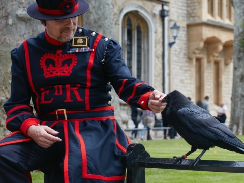 倫敦：哈利波特步行導覽團及倫敦塔門票