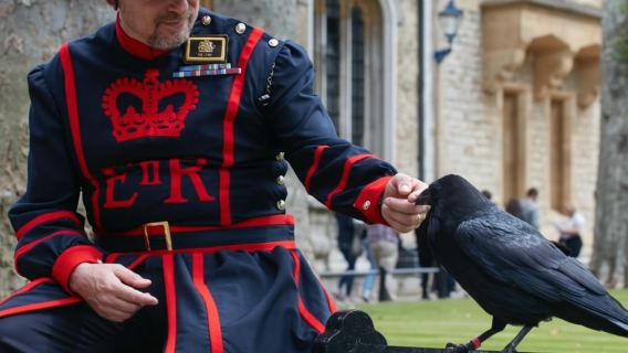 Londres : Visite Harry Potter, Tour de Londres et Croisière sur la Tamise