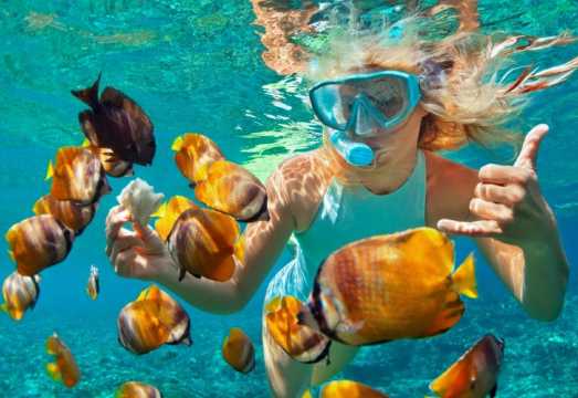 5-Hour Diving and Snorkeling Experience at Penida Island, Bali, Indonesia [Boat Ticket / Snorkeling / Lunch / West Route]