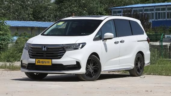 VIP private charter service in Emeishan attraction