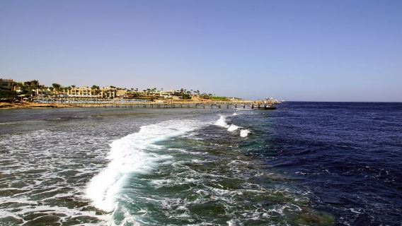 埃及沙姆沙伊赫｜翻譯陪同｜地陪旅遊｜展會｜商務考察｜地接｜（可私人訂製）