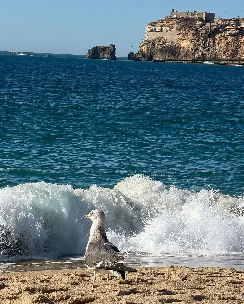 Giro turistico Nazaré, Óbidos e Peniche