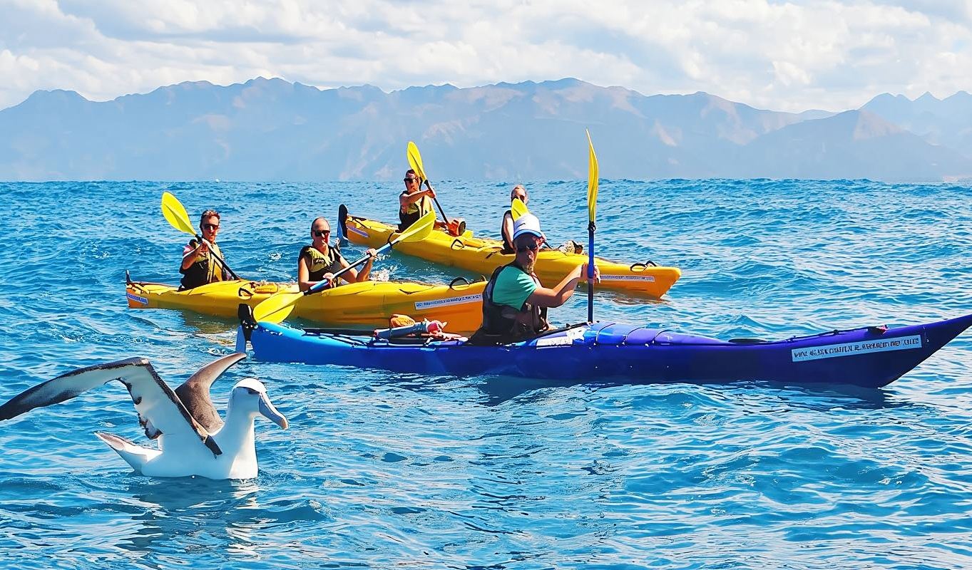 Excursión de un día en Akaroa, Christchurch, Nueva Zelanda: excursiones en kayak de lujo en la naturaleza, avistamiento nocturno de pingüinos y senderismo