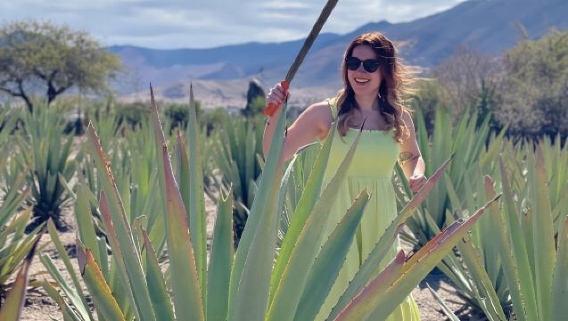 Campagna di Oaxaca: Tessuti, Campi di Agave, Mezcal e Cucina Locale
