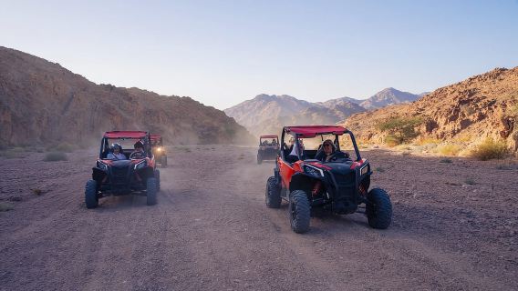 Aqaba: Can-Am UTV Maverick Adventure 1000cc for 1-2 Pax