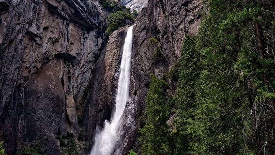 Yosemite National Park - Full-Day Tour