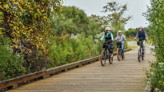 Hilton Head Guided Pedego Electric Bike Tour
