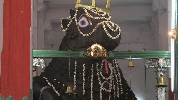 Sacred Bull walking tour in Bangalore with guide