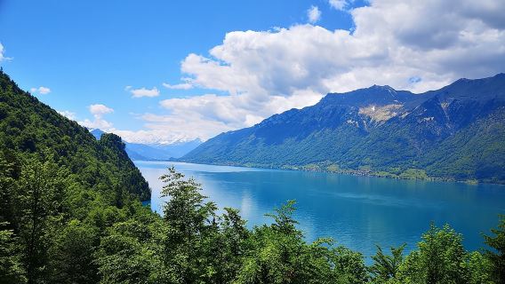 Лучшее в Бернском Оберланде из Базеля