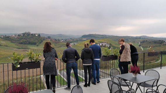 Винный тур Barolo&Barbaresco с местным виноделом