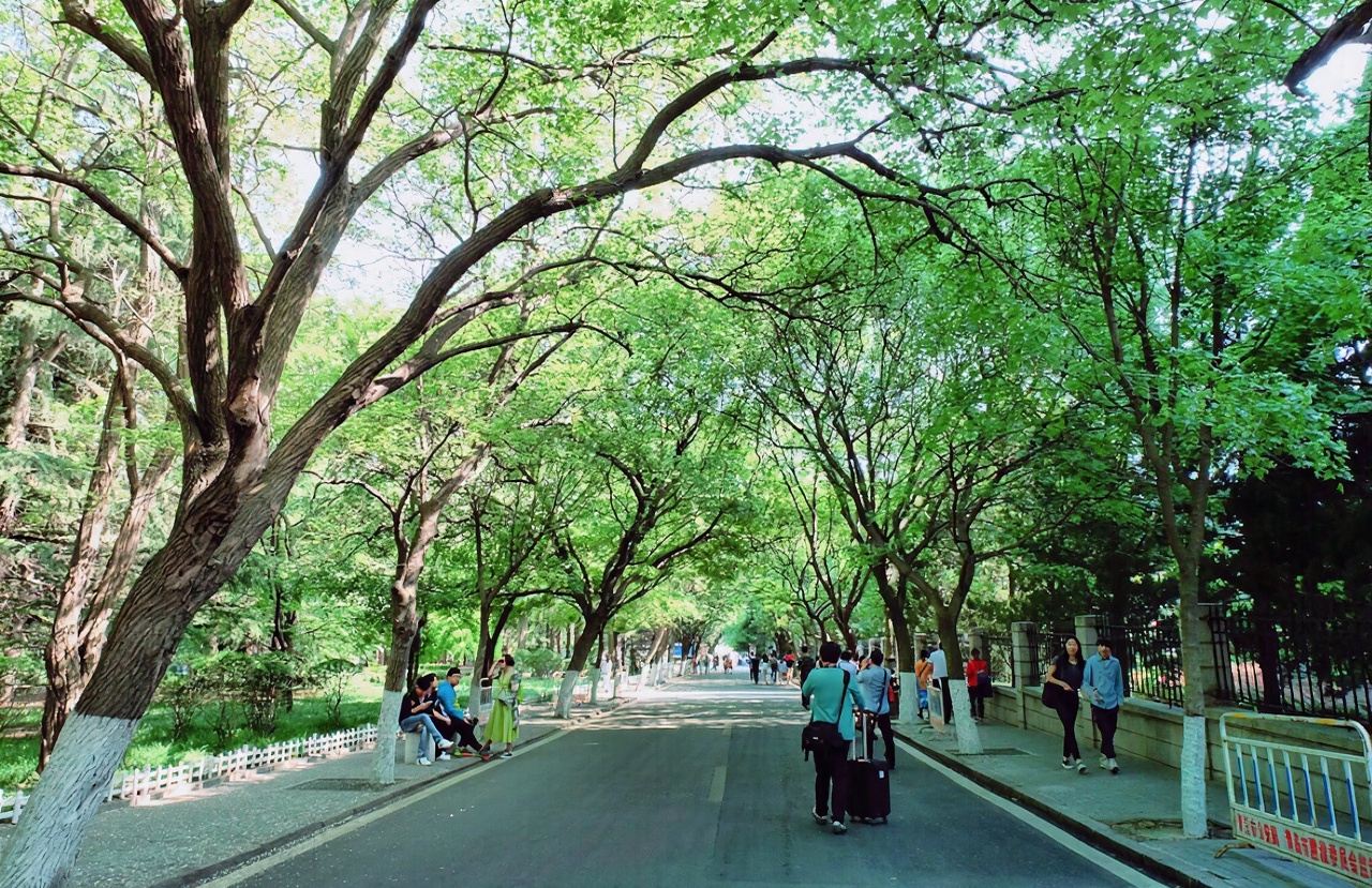 Qingdao Badaguan Sea Cruise, Polar Ocean Park, Olympic Sailing Center, May Fourth Square Day Tour