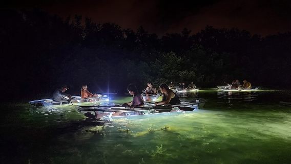 Siesta Key, FL - Clear Kayak LED Night Glass Bottom Tour