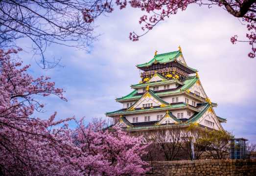 [Optional Arashiyama train ride] Top 100 Cherry Blossom Spots | 1-day tour to Osaka Castle Park + Maruyama Park + Arashiyama